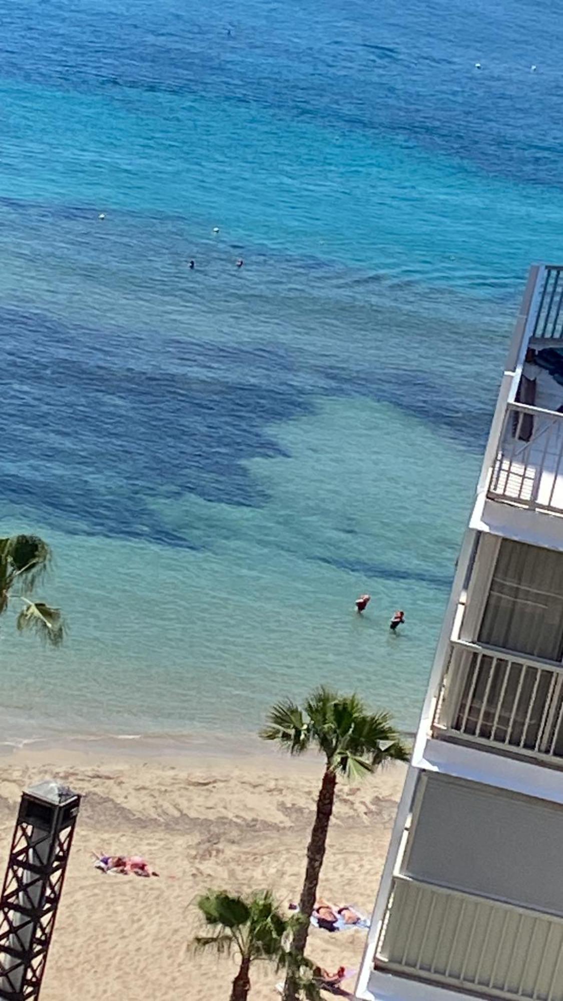Benidorm Beach Διαμέρισμα Εξωτερικό φωτογραφία